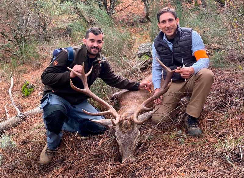 Chaqueta Caza Blaser