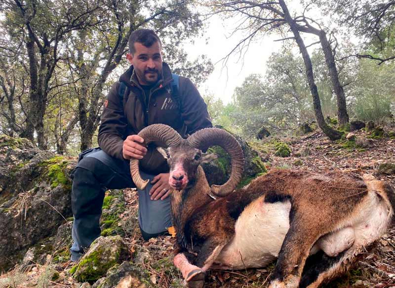 Chaqueta Caza Blaser