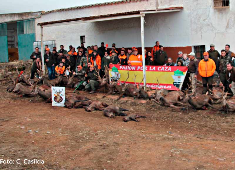 Chaqueta Caza Blaser