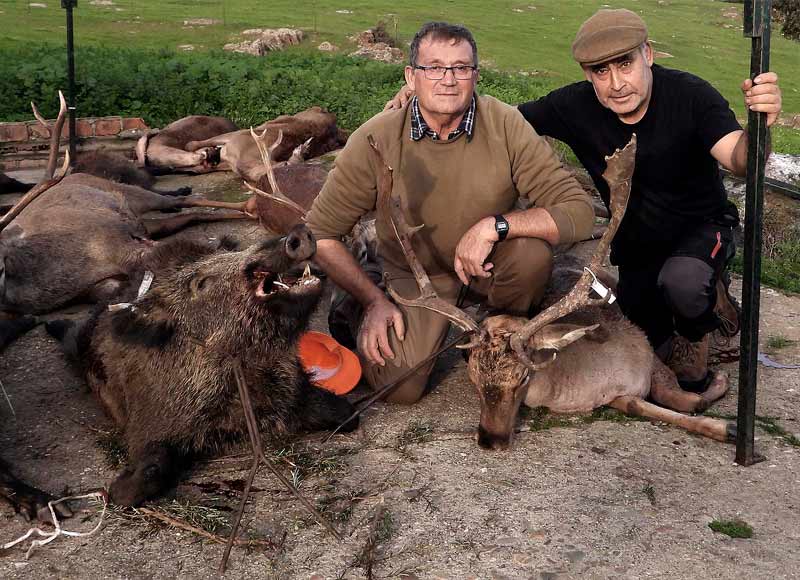 Chaqueta Caza Blaser