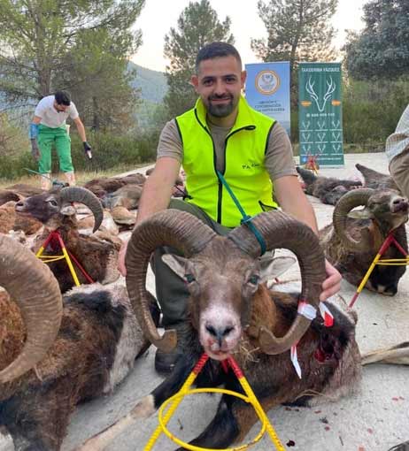 Chaqueta Caza Blaser