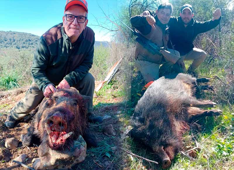 Chaqueta Caza Blaser