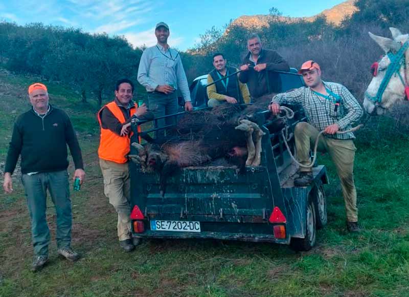 Chaqueta Caza Blaser