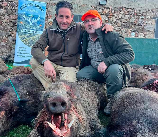 Chaqueta Caza Blaser