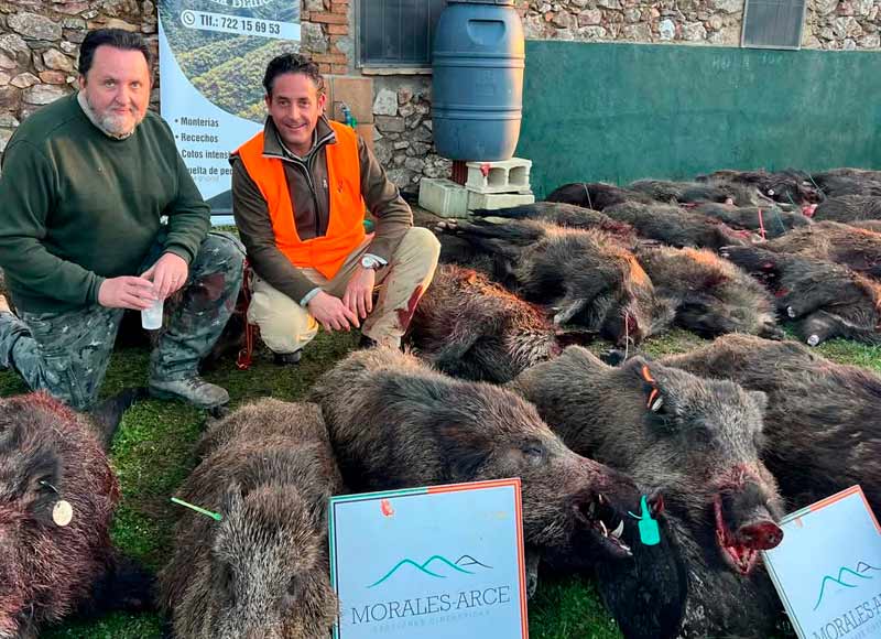 Chaqueta Caza Blaser