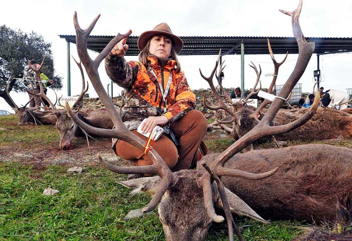 Chaqueta Caza Blaser