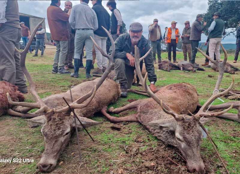 Chaqueta Caza Blaser