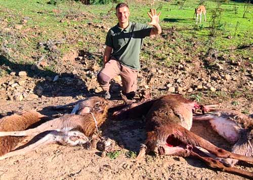 Chaqueta Caza Blaser