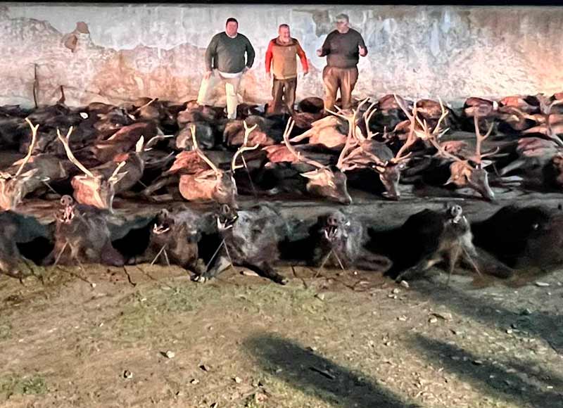 Chaqueta Caza Blaser