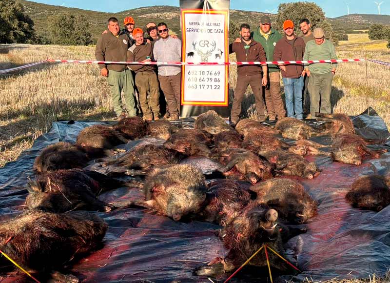 Chaqueta Caza Blaser