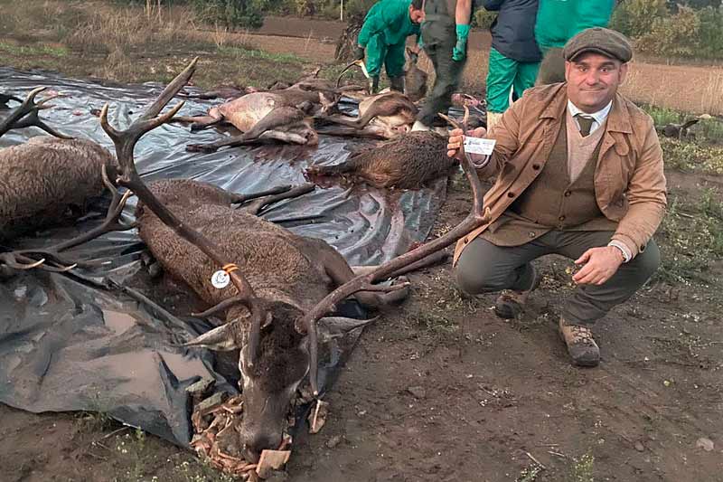 Chaqueta Caza Blaser