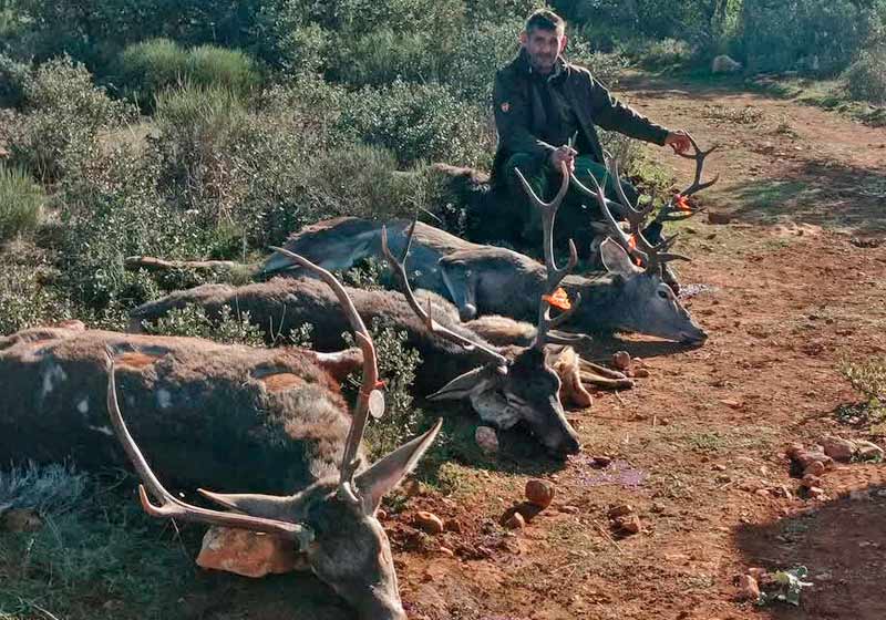 Chaqueta Caza Blaser