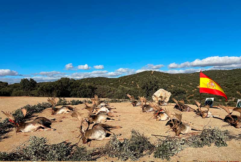 Chaqueta Caza Blaser