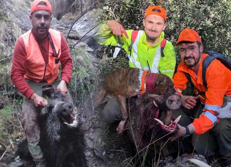 Chaqueta Caza Blaser