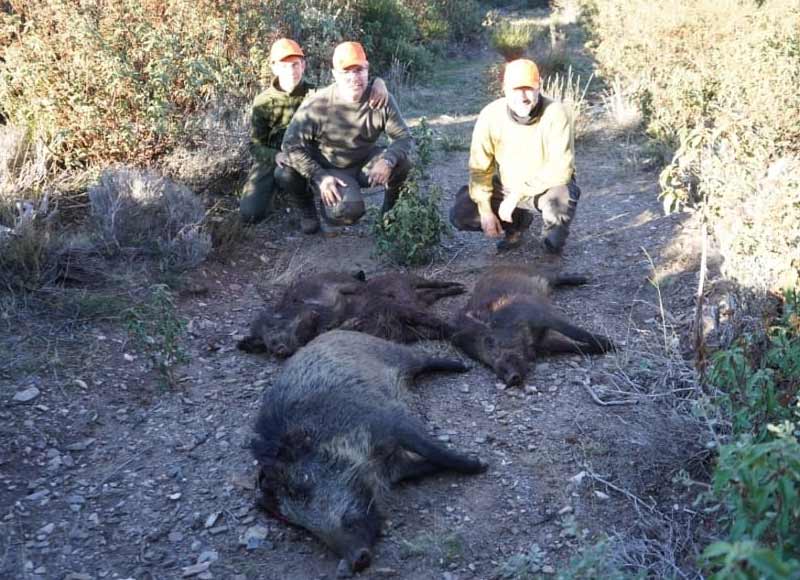 Chaqueta Caza Blaser