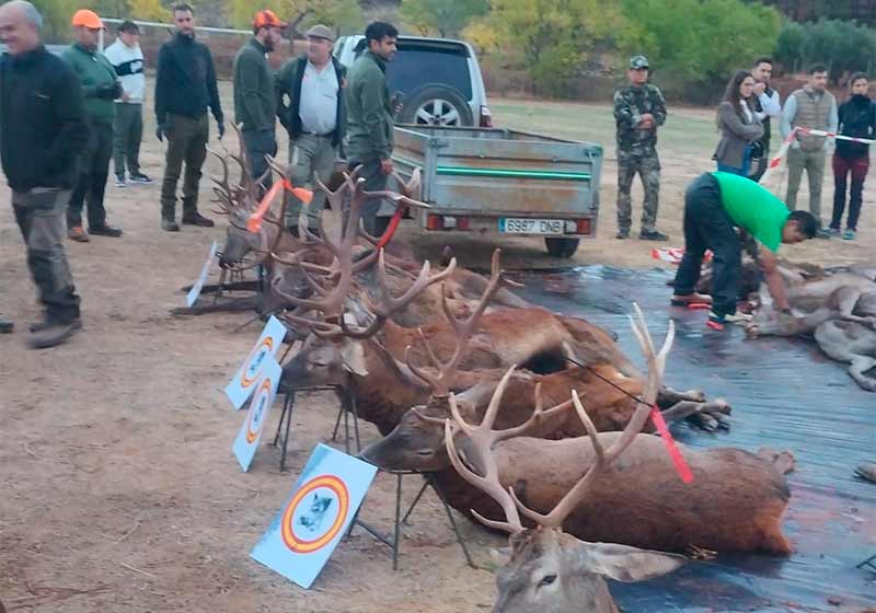 Chaqueta Caza Blaser