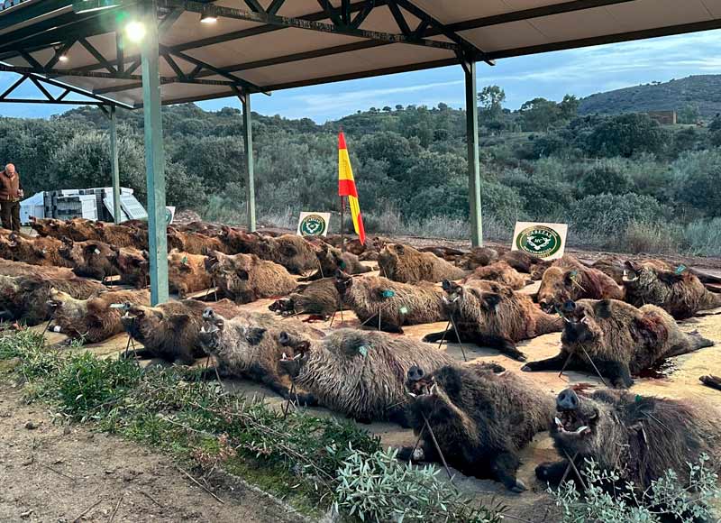 Chaqueta Caza Blaser