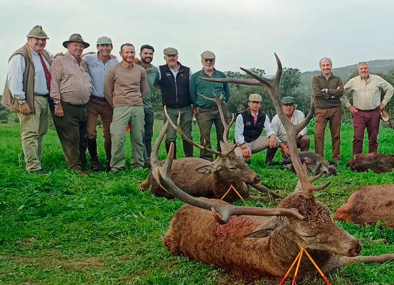 Chaqueta Caza Blaser
