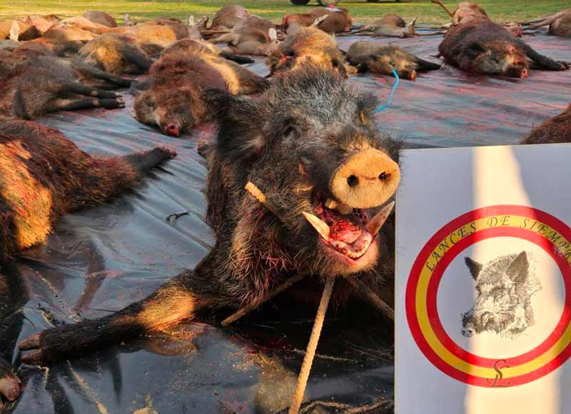 Chaqueta Caza Blaser