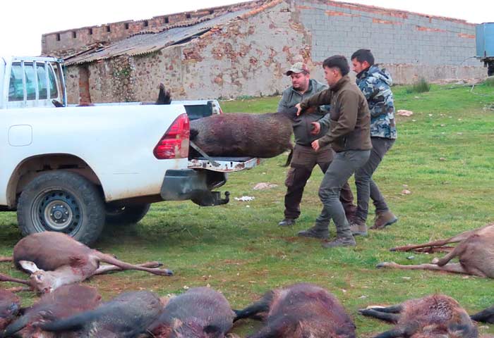 Chaqueta Caza Blaser