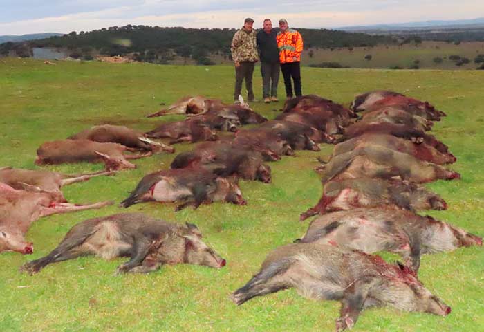 Chaqueta Caza Blaser