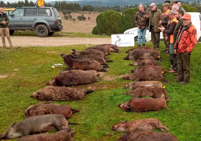 Chaqueta Caza Blaser