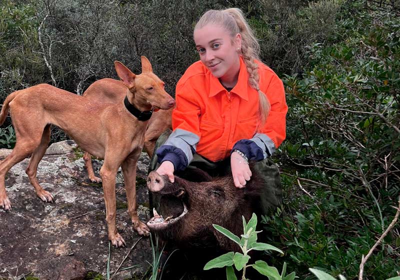 Chaqueta Caza Blaser
