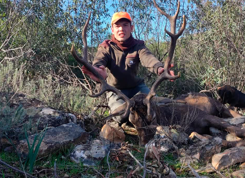 Chaqueta Caza Blaser