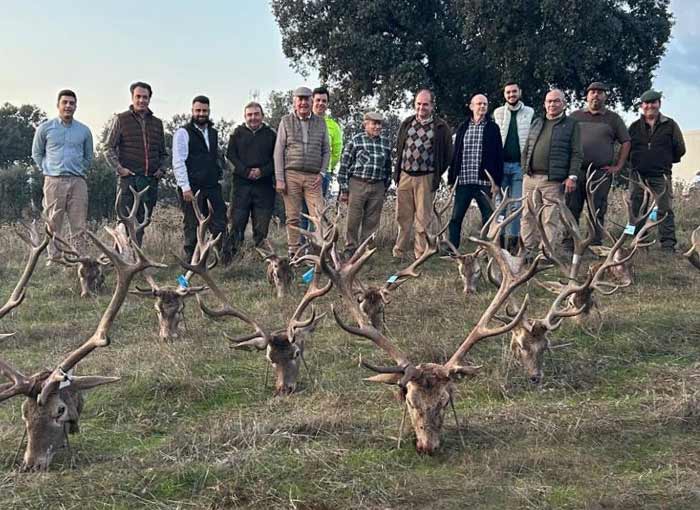 Chaqueta Caza Blaser