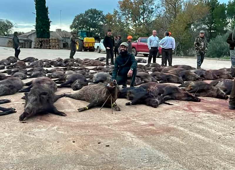 Chaqueta Caza Blaser