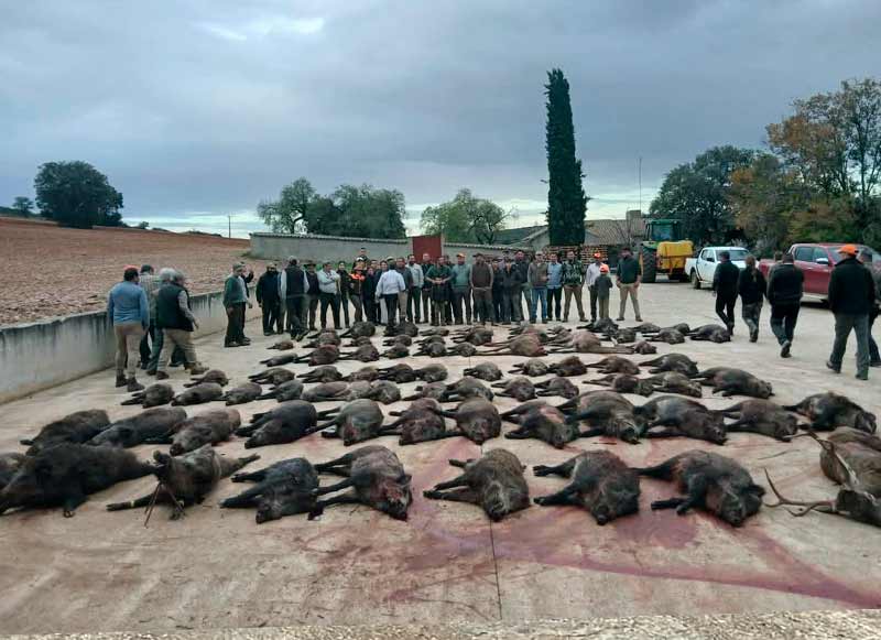 Chaqueta Caza Blaser