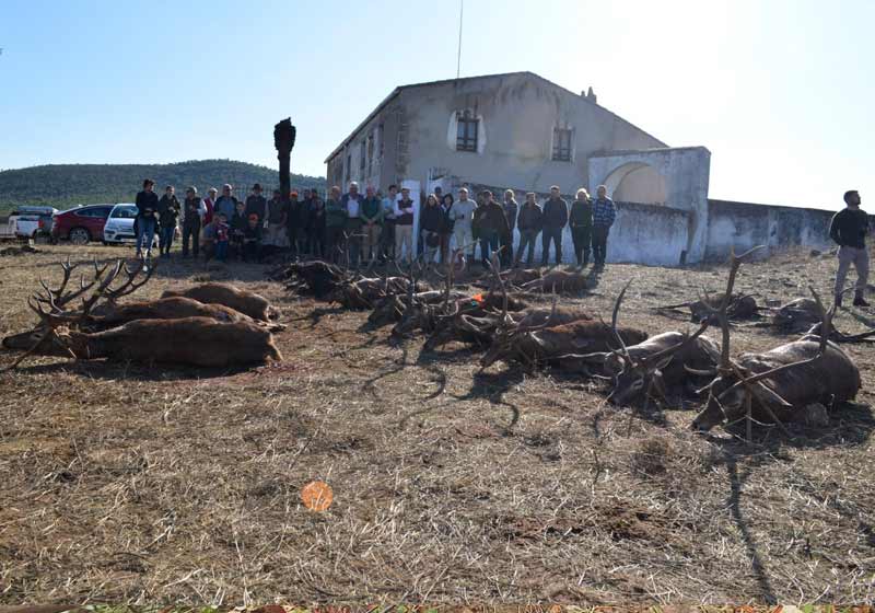 Chaqueta Caza Blaser