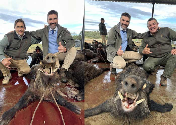 Chaqueta Caza Blaser