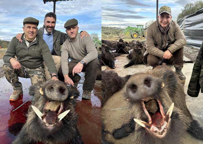 Chaqueta Caza Blaser