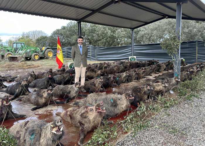 Chaqueta Caza Blaser