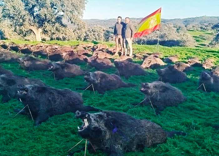 Chaqueta Caza Blaser