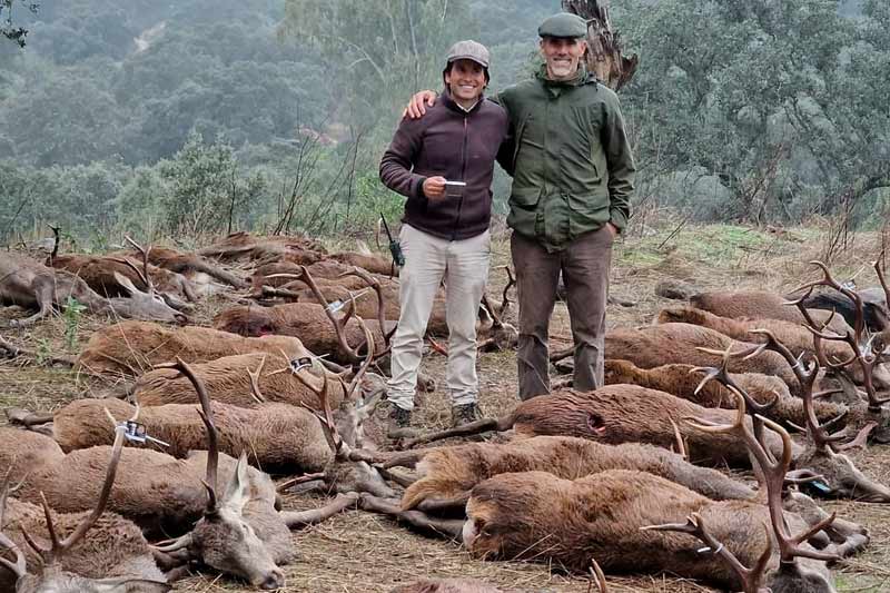 Chaqueta Caza Blaser