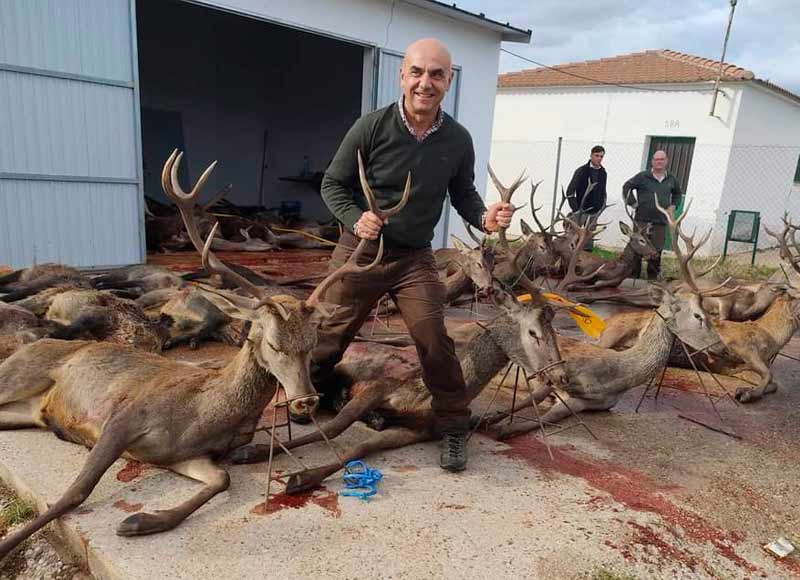 Chaqueta Caza Blaser