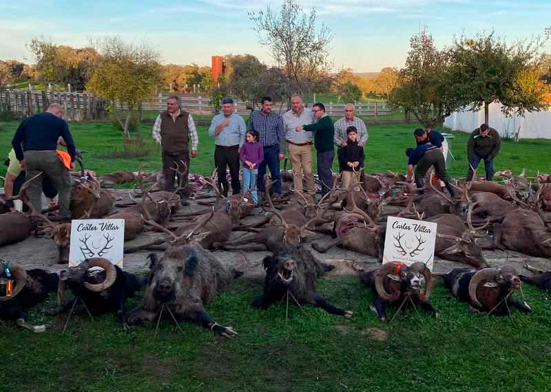 Chaqueta Caza Blaser