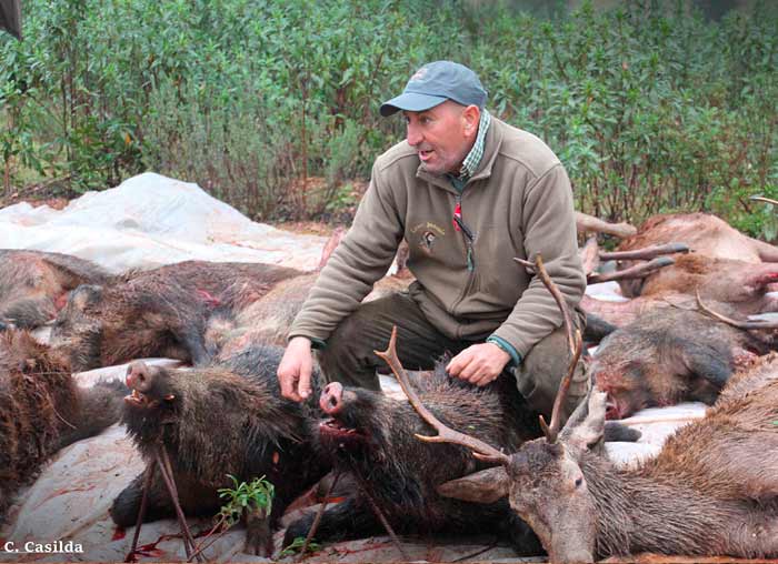 Chaqueta Caza Blaser