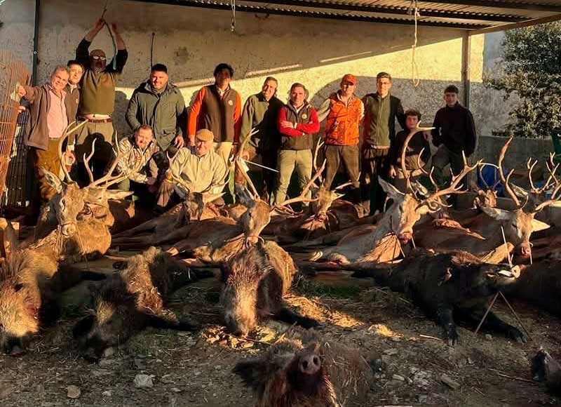 Chaqueta Caza Blaser