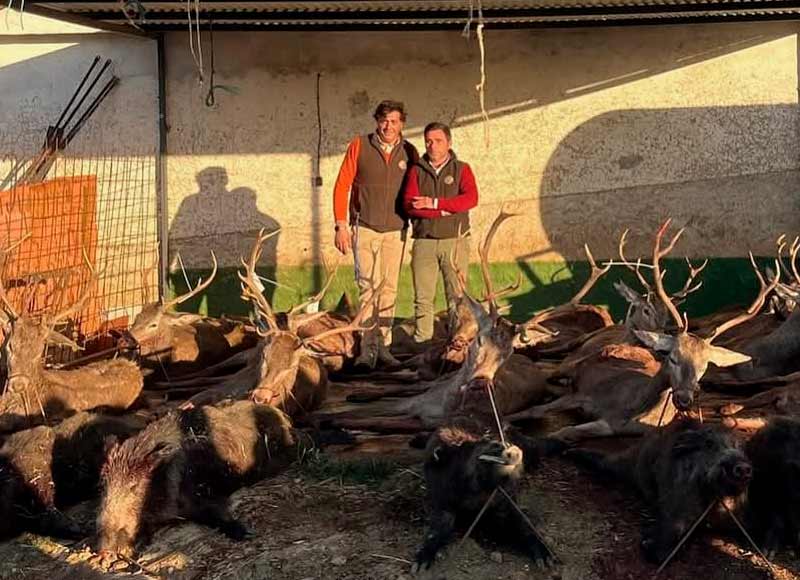 Chaqueta Caza Blaser