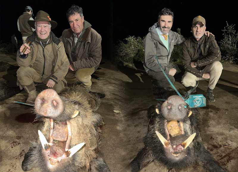 Chaqueta Caza Blaser