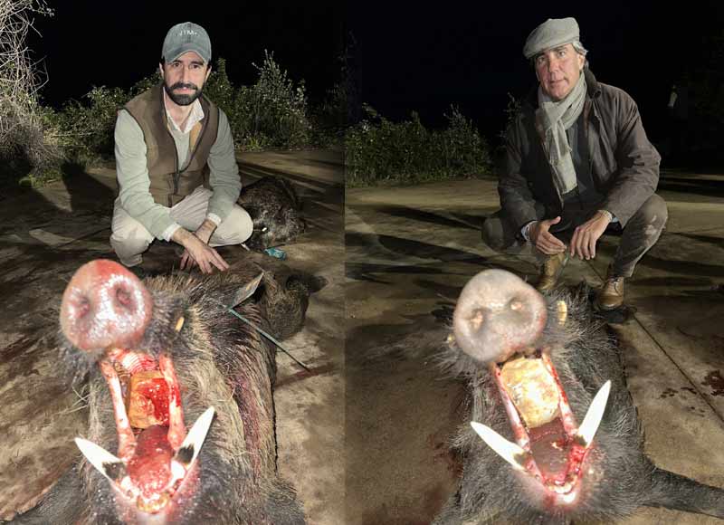 Chaqueta Caza Blaser