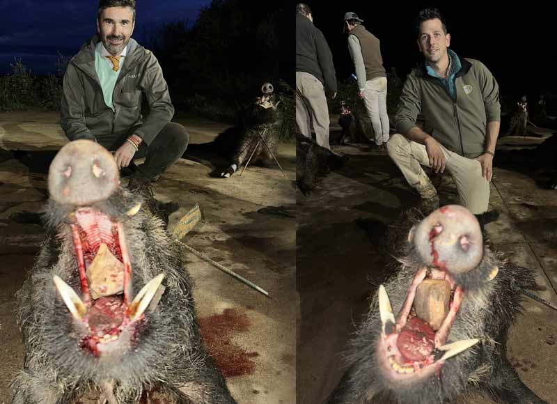 Chaqueta Caza Blaser