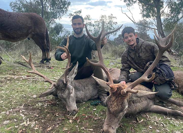 Chaqueta Caza Blaser