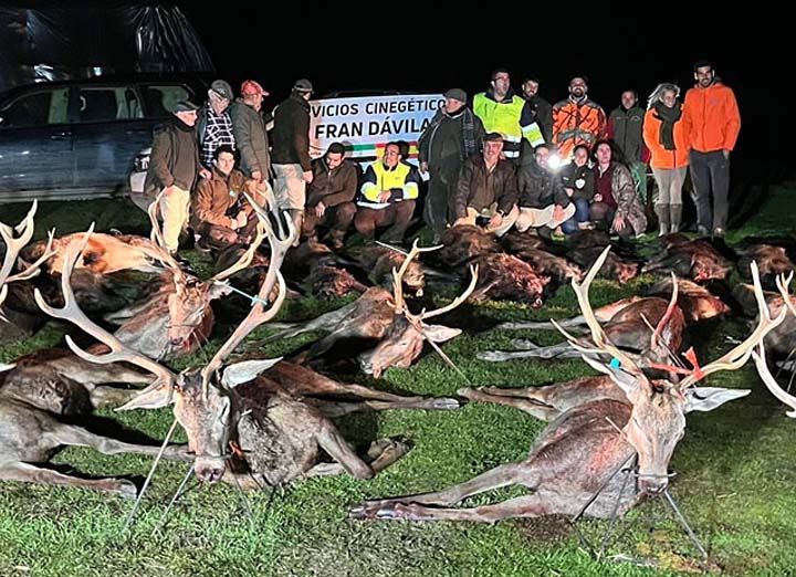 Chaqueta Caza Blaser