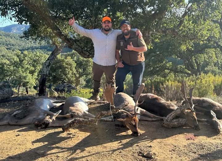 Bordalo Estellez 2025 01