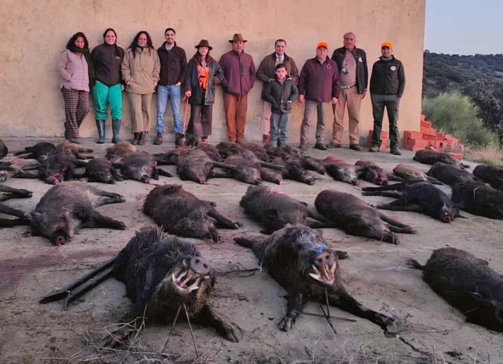 Bordalo Estellez 2025 01