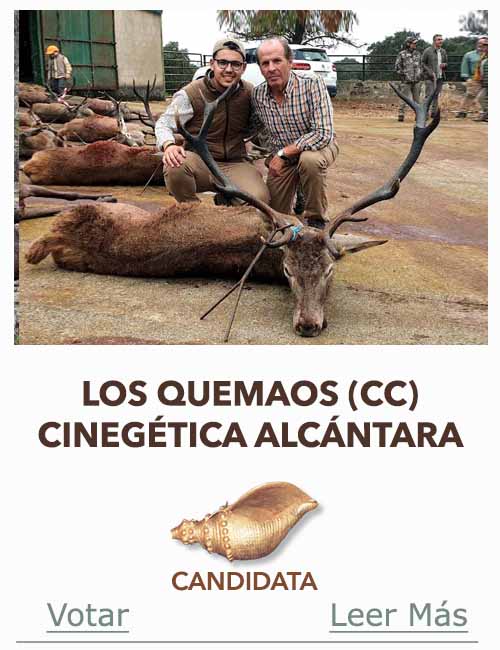 Candidatas 2025 2026 AB Campete